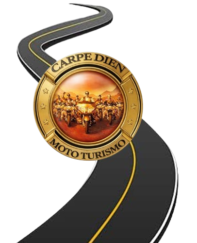 image removebg preview (1)